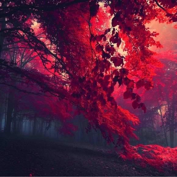 purpleautumn